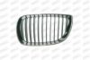 PRASCO BM1202004 Radiator Grille